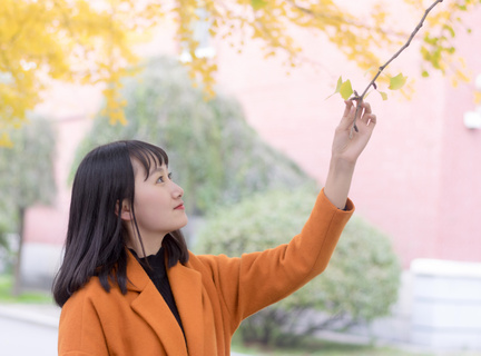 去菲律宾旅游船价格表最新 旅游船价分享